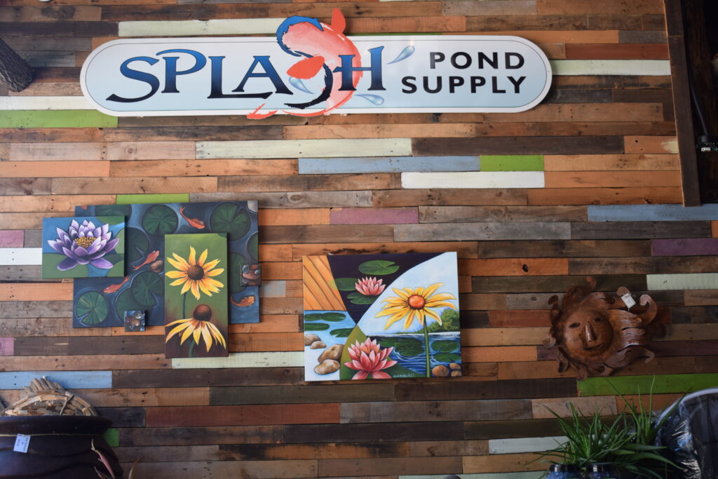 Toronita Splash logo