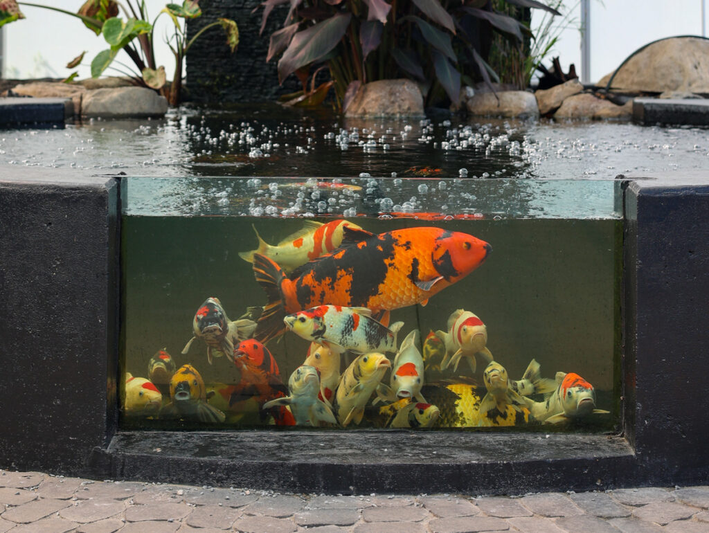 japanese