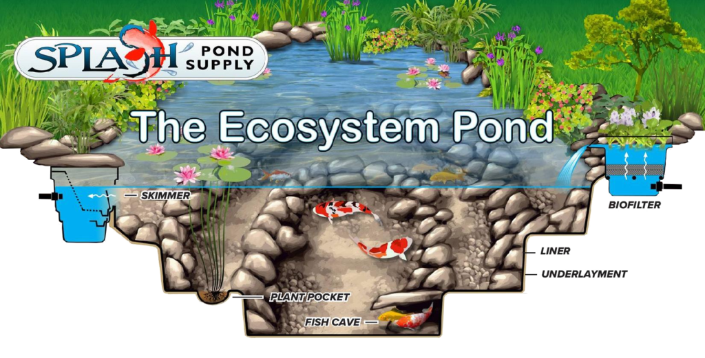Ecosystem Pond Splash Supply Company York PA