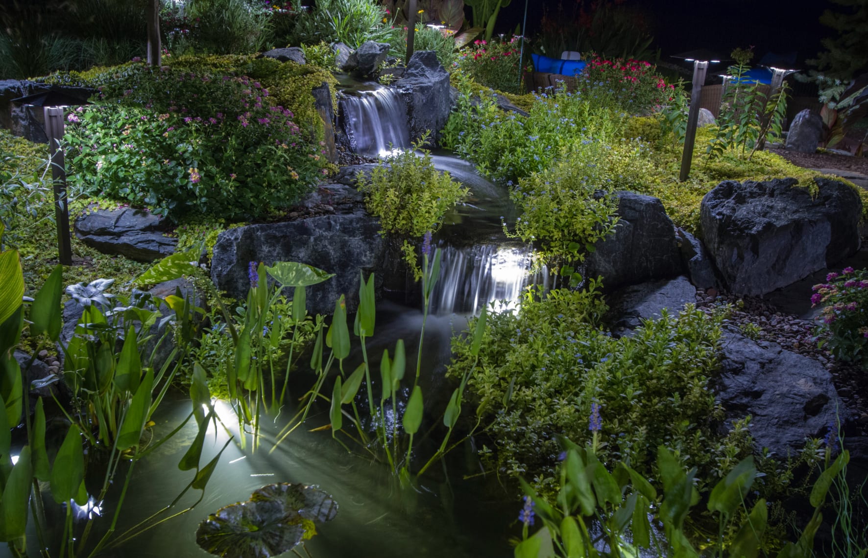 pond lighting how to