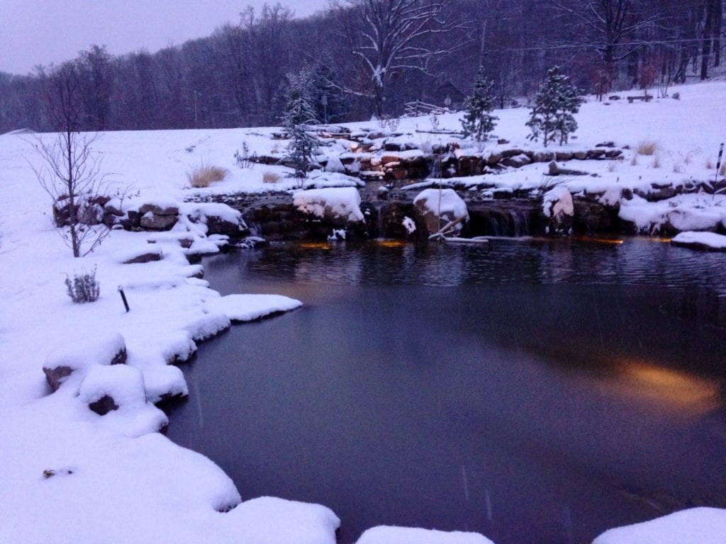 Swim Pond in Winter