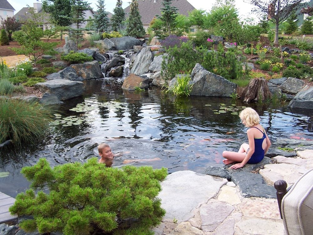 natural swim ponds natural-swimming-ponds-embracing-the-pond-life-ponds-water-features