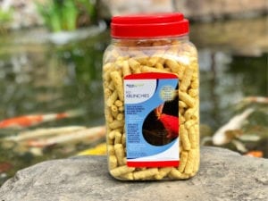 Koi Krunchies