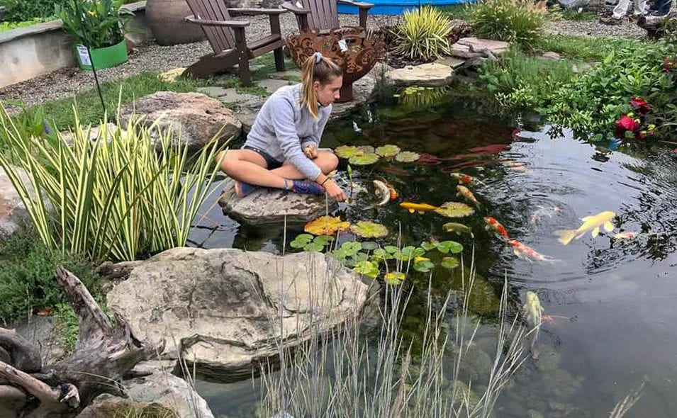 How to Care for Pond Fish