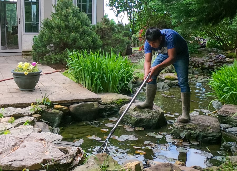 How to Clean a Pond