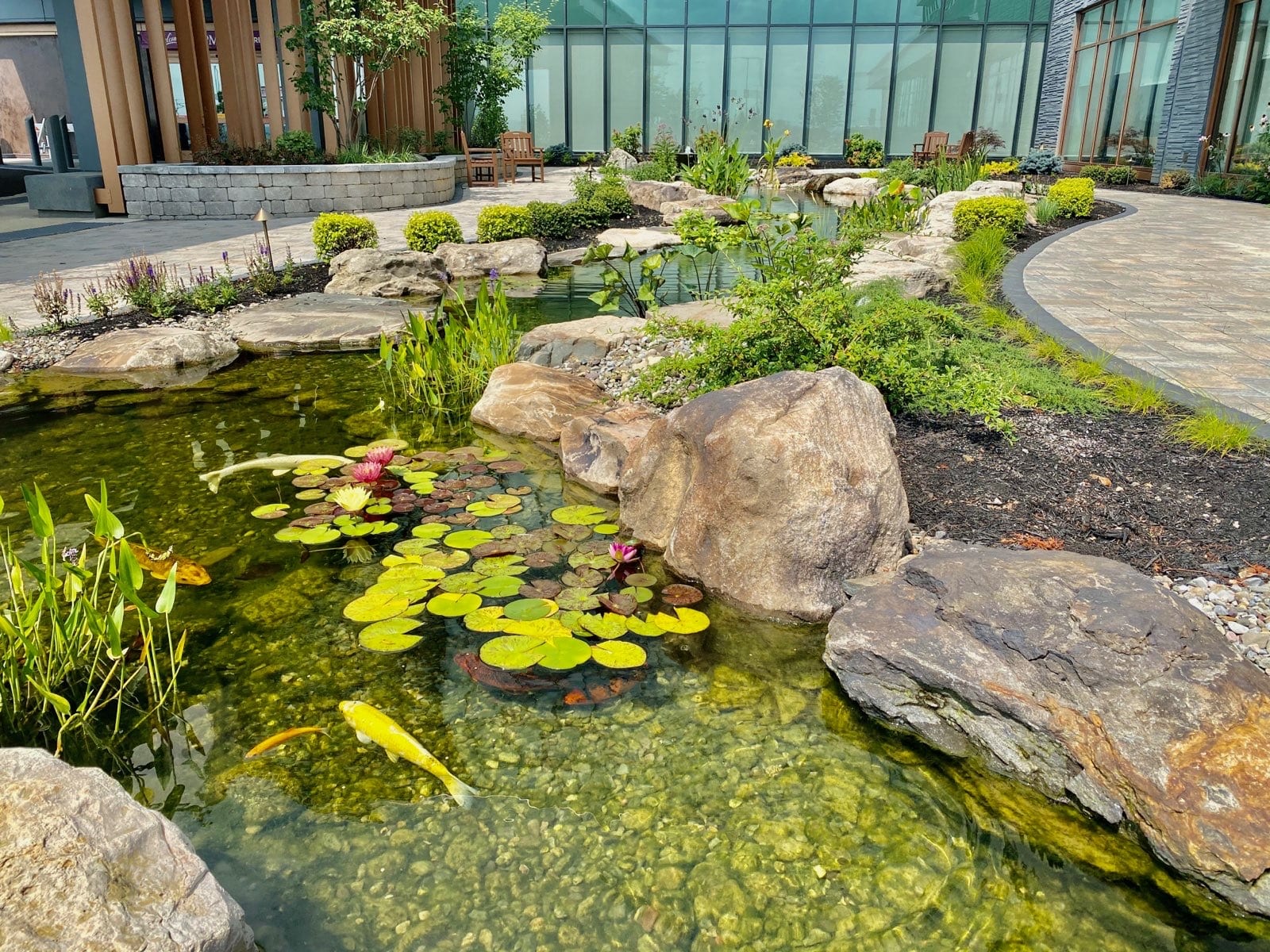 How to Keep Pond Water Clear: Proven Clarity Tips