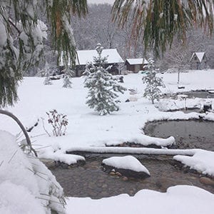 winter