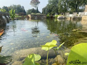 natural swimming pool with boulders