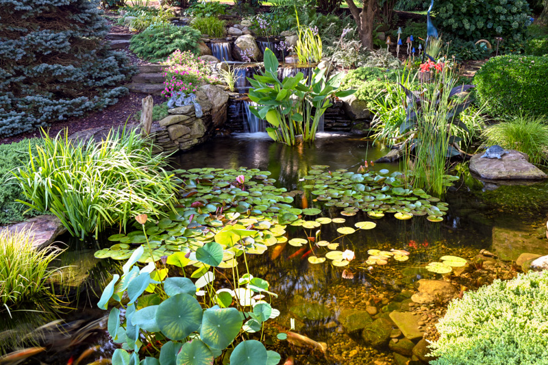 10 Ways to Keep Pond Water Naturally Clear - Splash Supply Company