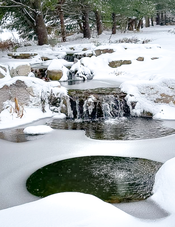 Winterizing your pond