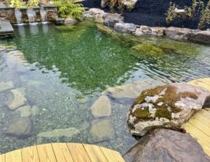 Swim Pond at Splash Supply Co Design Center York PA
