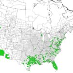 hydrilla Screenshot 2025 08 10 183509