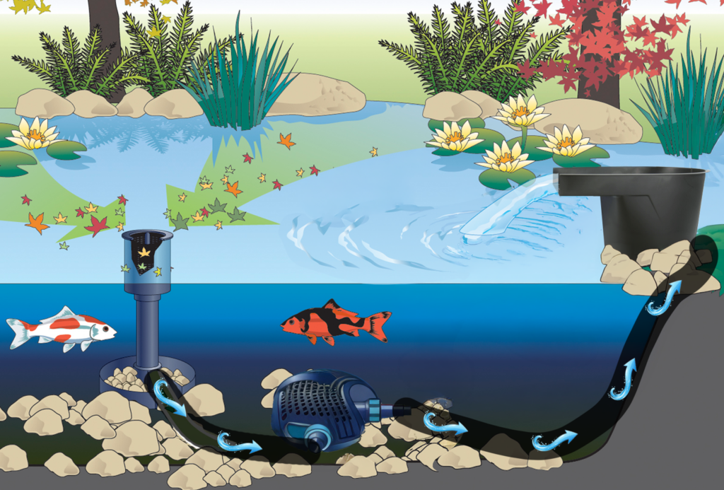 Turtle Pond Filter Diagram