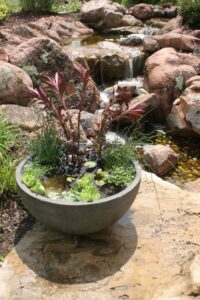 Patio Pond Cost