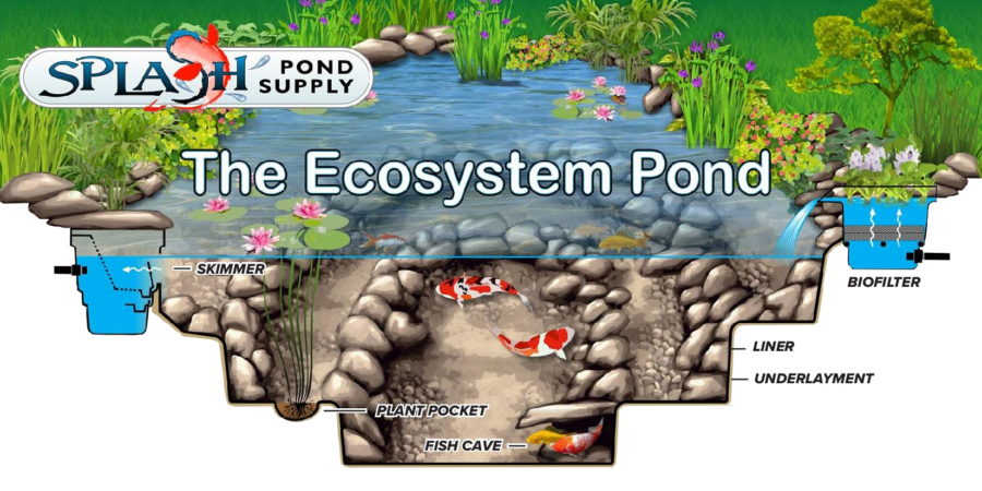Ecosystem Pond Splash Supply Company York PA