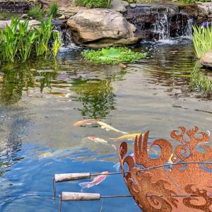 Oasis Pond 1994669977