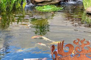 Oasis Pond 3135067787