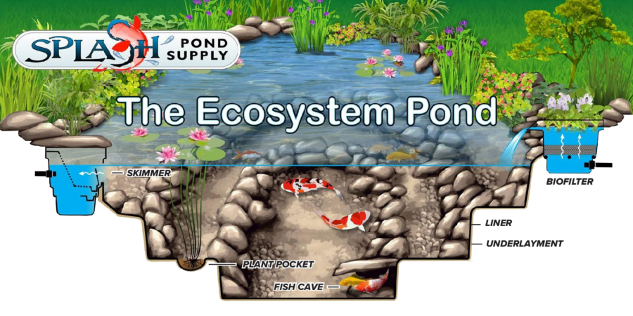 Ecosystem Pond Splash Supply Company York PA