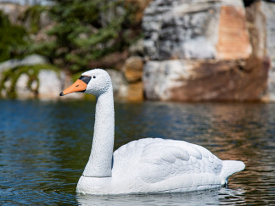 74014 floating-swan-decoy1-558x372