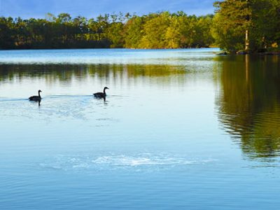 learning-center-article-improve-water-clarity