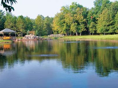 learning-center-pl-article-aeration-image2