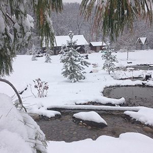 winter